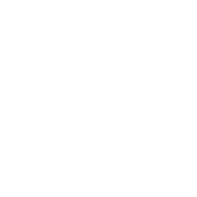 Ruth and Shane 2017